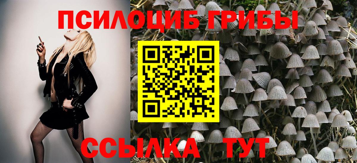 Галлюциногенные грибы Magic Shrooms  Вход с VPN  Муром 